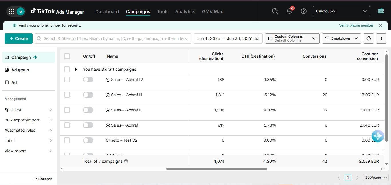 TikTok Ads — Profitable Sales Campaigns